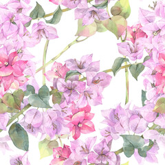 Seamless floral pattern of tropical flowers. Hand painted watercolor illustration.