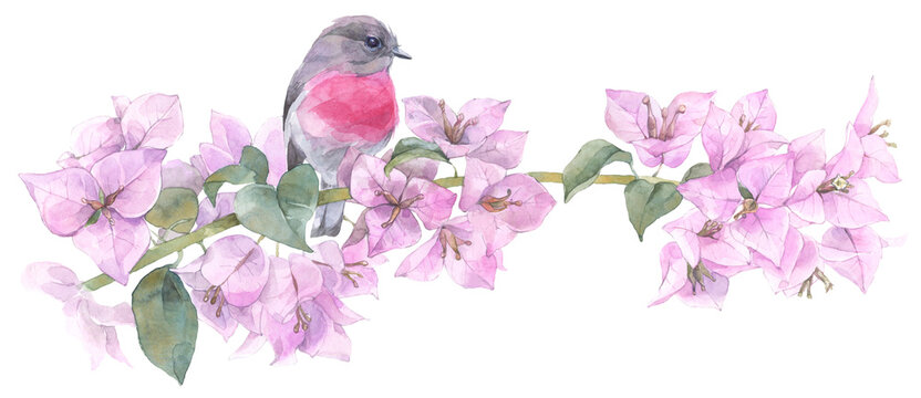 The bird sitting on the blooming branch. Hand painted watercolor illustration.