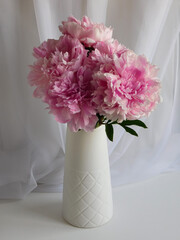 Peonies. Bouquet of pink peonies in vase.