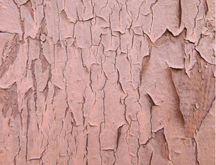 Wood texture. 