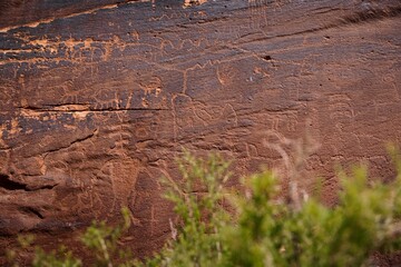 Naklejka premium The Sand Island Petroglyph Panel in Bears Ears National Monument