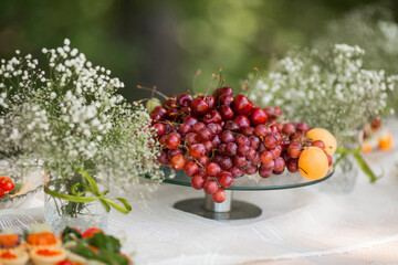  bunch of ripe grapes and cherries at the celebration 