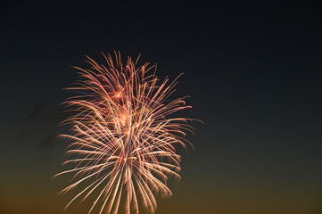 Fototapeta premium fireworks celebration in the night sky