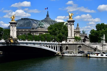 Foto op Canvas Paris  France - april 2 2017 : the Alexandre 3 bridge © PackShot