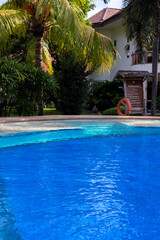 Swimming pool with palm tree and hotel building. Fresh water pool banner template. Empty amenities of hotel or resort. Pandemic travel ban. Sunny swimming pool with clean water ripples. Pool service