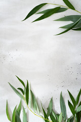 Beauty and cosmetic background and backdrop with green leaves on white