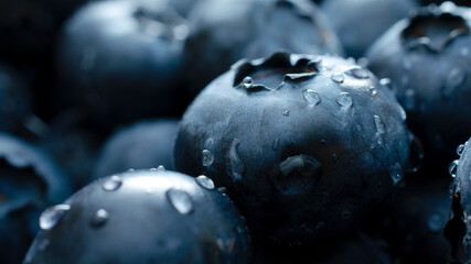 Blueberry berry background. Macro. Fresh blueberry background. Water drops on ripe blueberries....