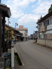 有松