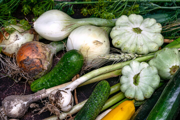 The first harvest of vegetables from the garden.