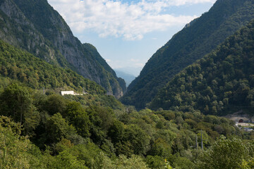 A deep gorge covered with forest in the vicinity of the city of Sochi in summer