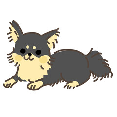 座るチワワ　黒色