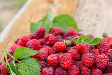 raspberries on a table, 
raspberries on wooden background