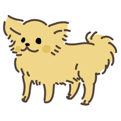 座るチワワ　茶色