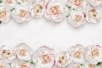 Composition of flowers on a concrete table. White with pink peonies and leaves. Old white and gray background. Floral mockup for Birthday, Valentine`s day, Women`s day. Top view, flat lay, copy space