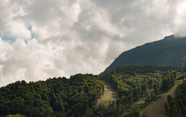 the top of the mountain is covered with a dense forest in summer