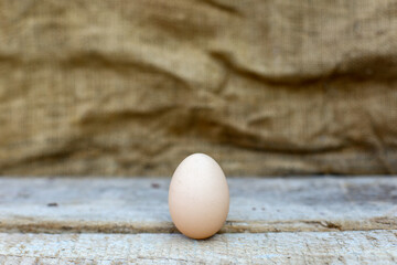 one egg, egg on wooden table