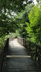 bridge square in the forest