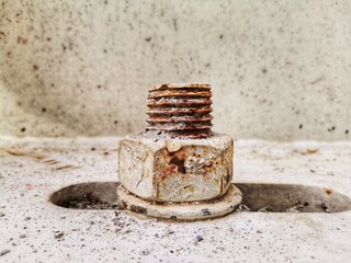 Rusty bolt and gasket.
