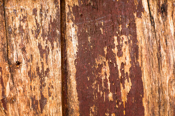old wood background, old wood texture