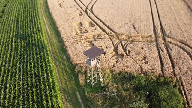 Drohnenaufnahme, Hochsitz zwischen Maisfeld und Weizenacker.