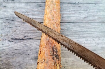 Wood and saw. Cutting wood with a saw.