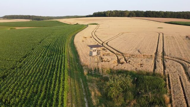 Drohnenaufnahme, Hochsitz zwischen Maisfeld und Weizenacker.