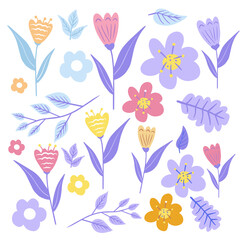 Flower simple flat, handdrawn botany collection isolated on white background. Set of floral and herb elements. Vector.