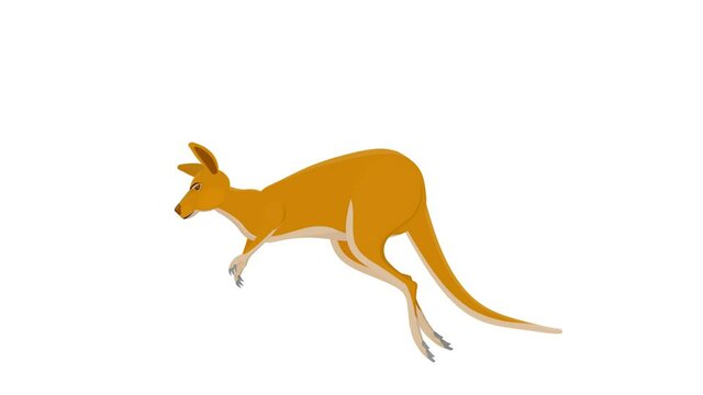 Kangaroo. Animation of the kangaroo animal, the alpha channel is enabled. Cartoon