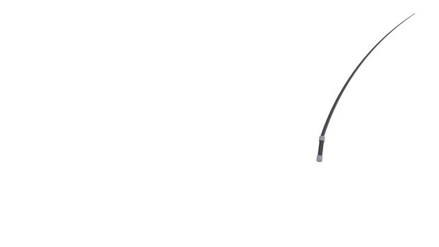 Knout. Animation of whipping with a whip, the alpha channel is turned on. Cartoon