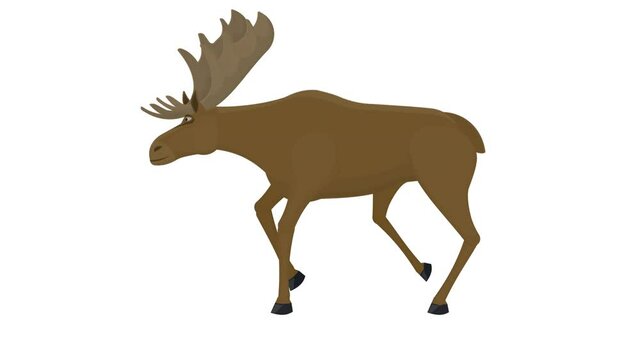 Elk. Animation of an animal moose, the alpha channel is enabled. Cartoon