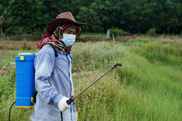 Asian farmer uses herbicides, insecticides chemical spray to get rid of weeds and insects or plant disease in agricultural land. Cause air pollution. Environmental , Agriculture chemicals concept. 