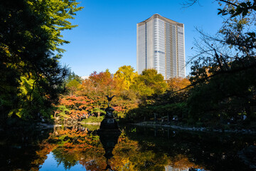 東京都 紅葉の染まる日比谷公園  雲形池