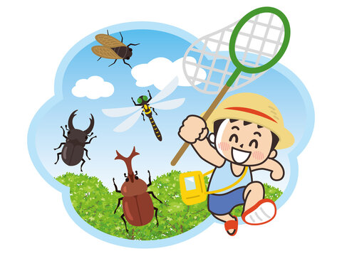 2 974 Best 昆虫採集 Images Stock Photos Vectors Adobe Stock