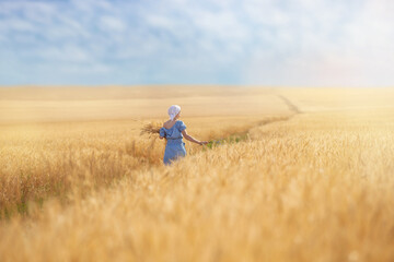 a young woman in a wheat field with ears in her hands, a sunny summer morning