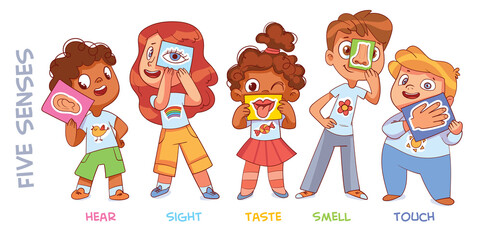 Five senses. Sight, hear, smell, taste, touch