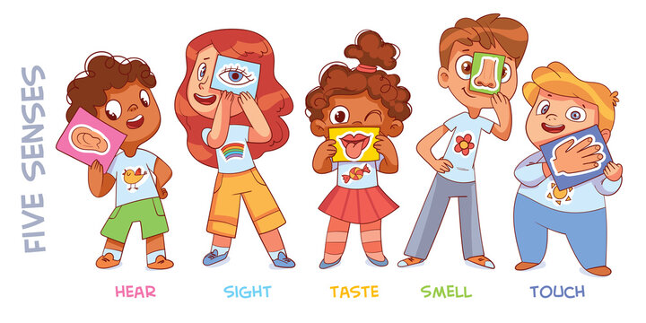 Five senses. Sight, hear, smell, taste, touch