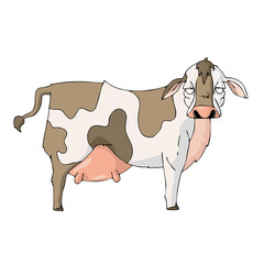 Cow on white background Cute Cartoon Vector illustration.