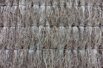 Cloture en branchages