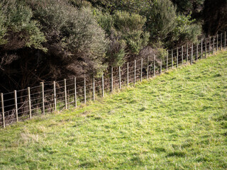 View of wire boundary farm fence with wooden posts on farm