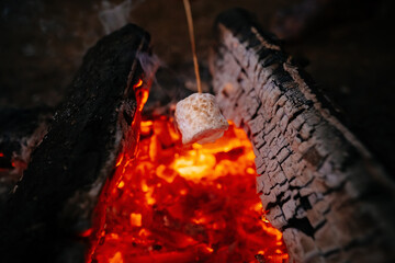Delicious and sweet marshmallows on a stick over a fire in the forest.