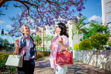 Elegant Women Enjoy Sunny Walk Under Jacaranda Blooms, Discussing Latest Fashion Trends and...