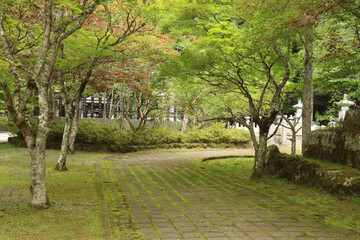 path in the park