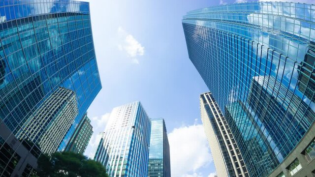 東京タイムラプス　高層ビル群　魚眼撮影