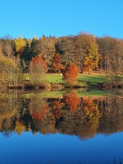 autumn trees reflected in water