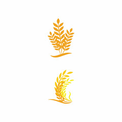 Luxury Golden Grain Weath / Rice Logo Design Vector
