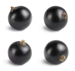 Ripe black currant on a white background. Fresh juicy berries.