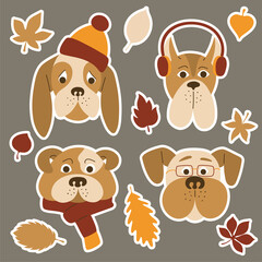 Set of cartoon dogs in autumn clothes and accessories. Autumn concept of pets. Yellow and red leaves.