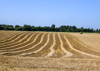 Heuernte auf den Feldern 