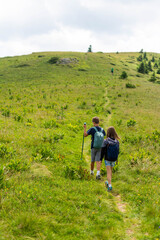 Fototapeta premium Two kids on a hike wearing their backpacks and exploring nature on a sunny day. Children, brother and sister are hiking in the mountains. Vertical.