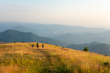 family, boy, people, hiking, nature, girl, son, daughter, outdoors, father, walking, adventure, happy, man, forest, vacation, children, lifestyle, summer, active, child, holiday, together, travel, 